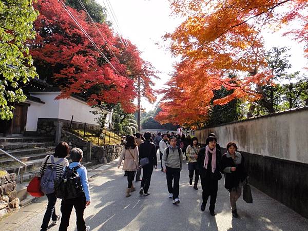 東福寺-14.JPG