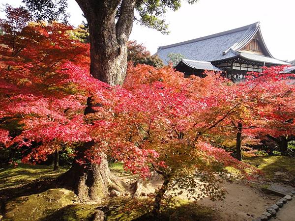 東福寺-29.JPG