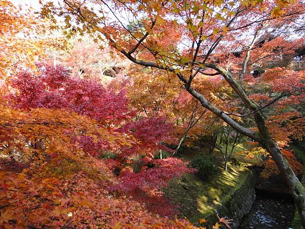 東福寺-47.JPG