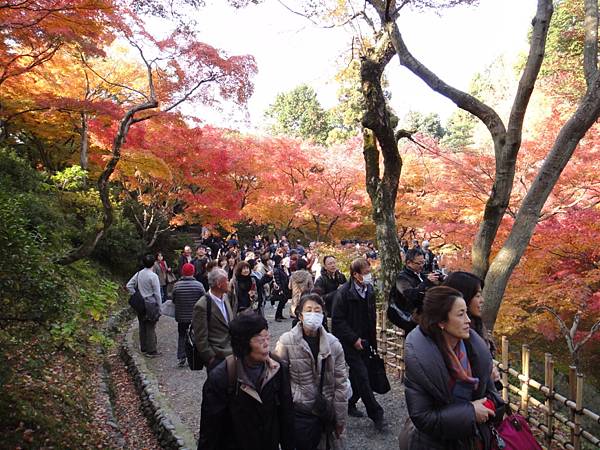 東福寺-49.JPG