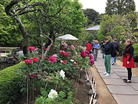 DAY2-長谷寺.31.JPG