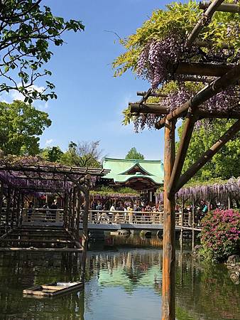 DAY3-龜戶天神社.5.JPG