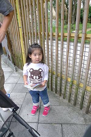 P1090054 P1090054