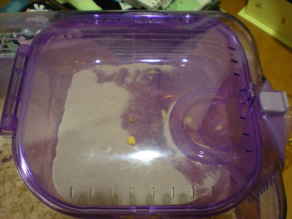 DSCN0462.JPG