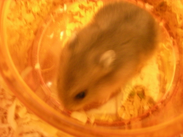 DSCN0476.JPG