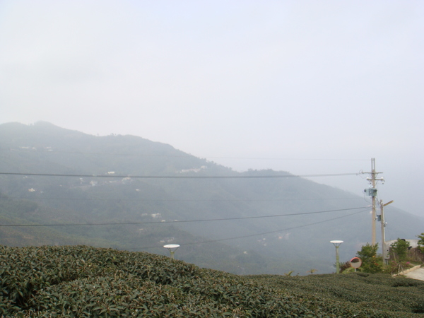 霧霧滴山景~