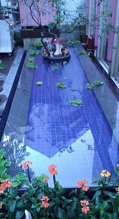 IMAG0012 IMAG0012