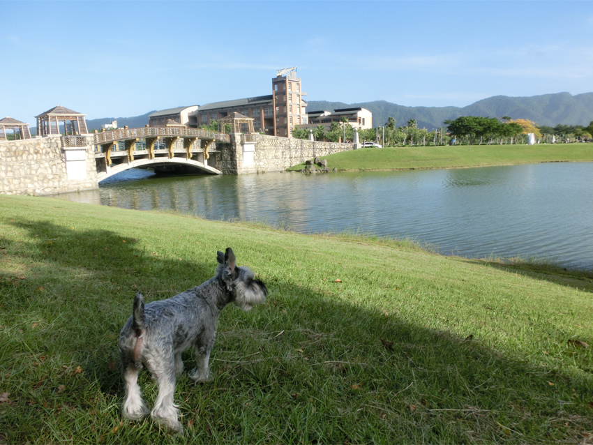 01-20141010~1012花蓮行-東華大學.JPG