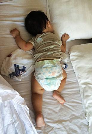 IMG_3127-1 IMG_3127-1
