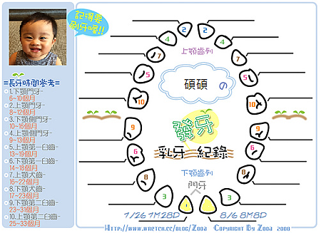 發牙表原圖(第一二顆).png 發牙表原圖(第一二顆).png