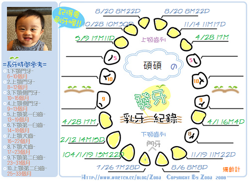 1040509發牙表 (第十三顆)