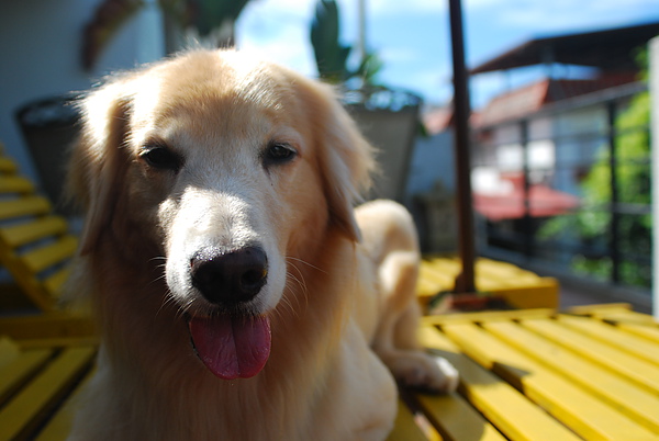 DSC_0079.JPG