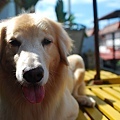 DSC_0079.JPG