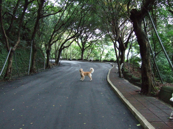 DSCF4567.JPG