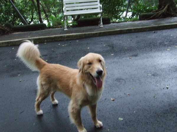 DSCF4568.JPG