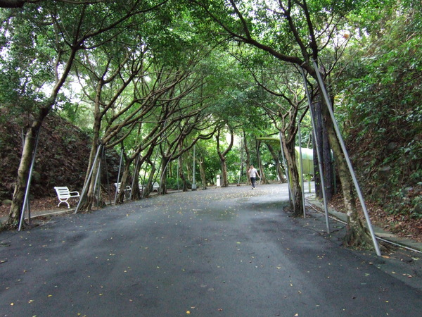 DSCF4572.JPG