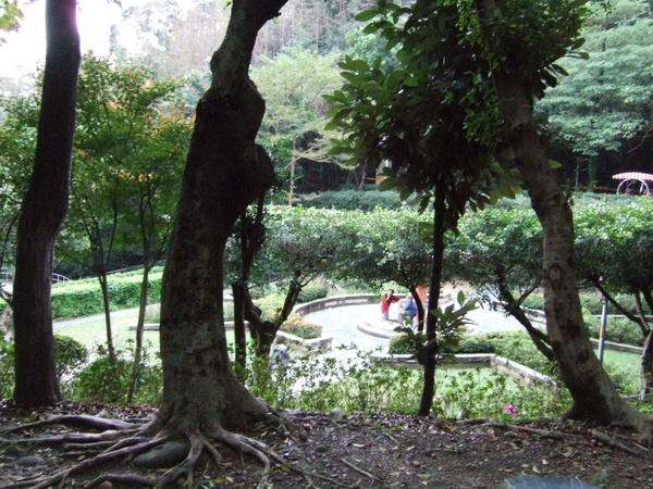 DSCF4575.JPG