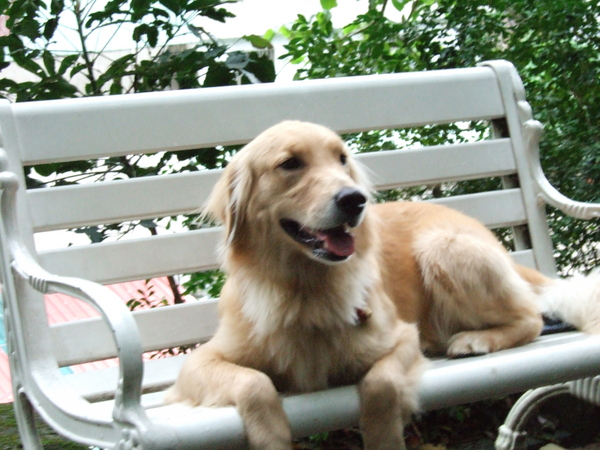 DSCF4586.JPG