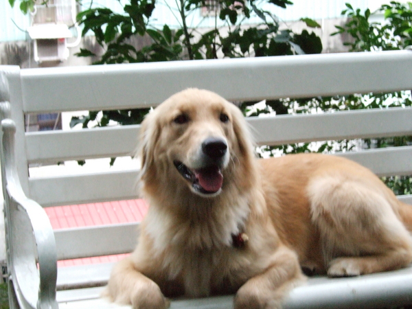 DSCF4587.JPG