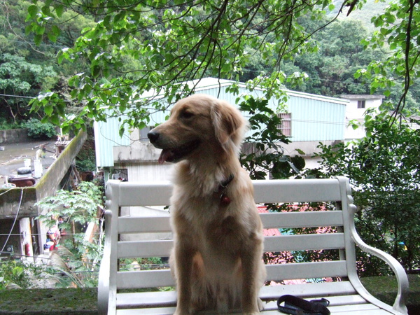 DSCF4576.JPG