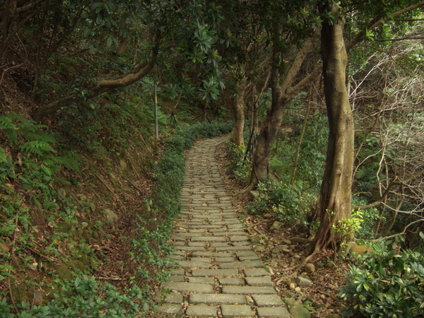 DSCF4594.JPG