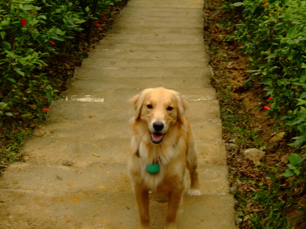 DSCF4634.JPG