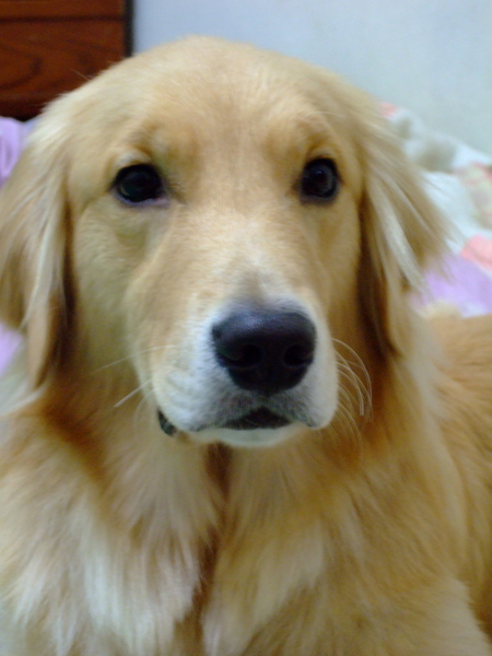 DSCF4411.JPG
