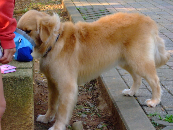 960401北鼻生日逍遙遊～傳說中的滬尾砲台公園 - 40