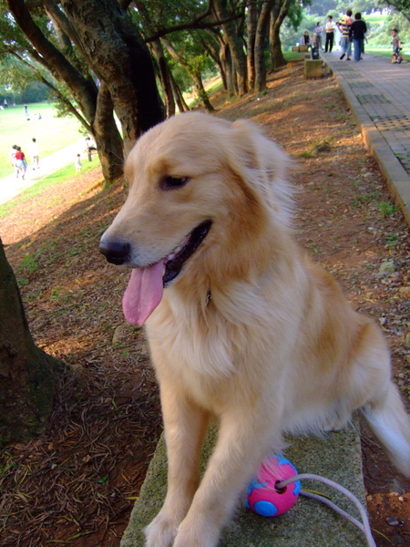 960401北鼻生日逍遙遊～傳說中的滬尾砲台公園 - 54