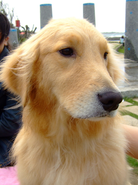 960401 北鼻生日逍遙遊～淺水灣、卡薩布蘭加 - 14