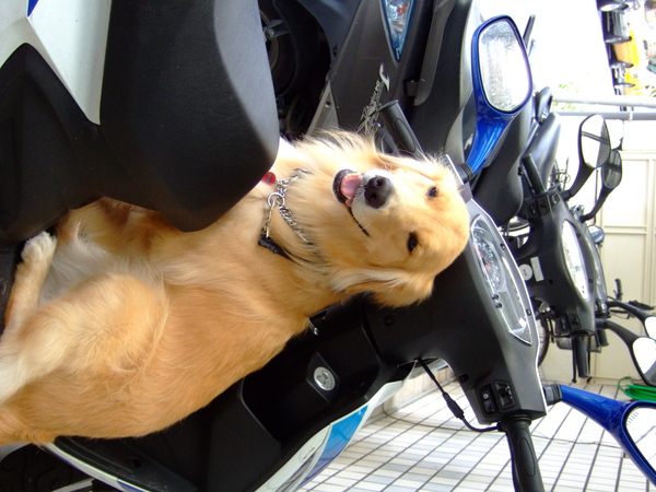 DSCF9056.JPG