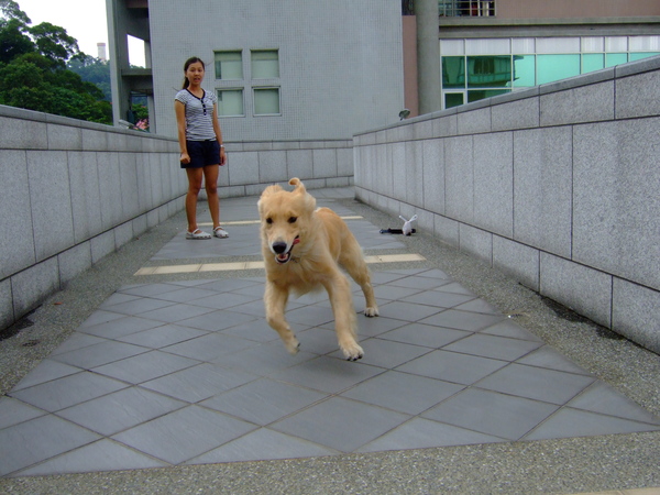 DSCF9064.JPG