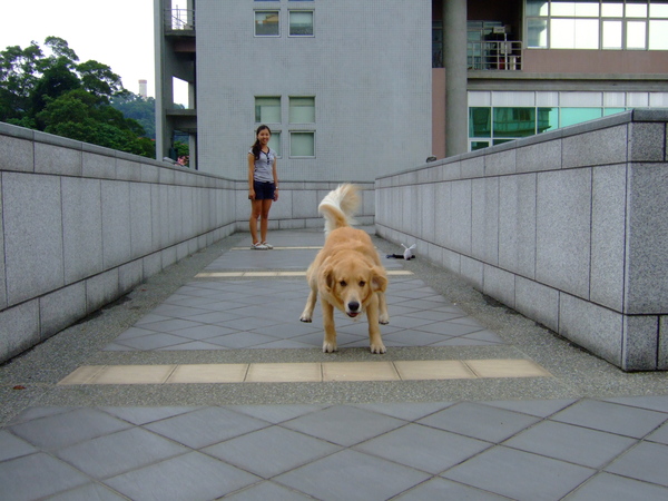 DSCF9065.JPG