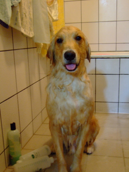 DSCF9212.JPG