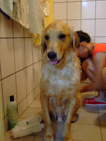 DSCF9217.JPG