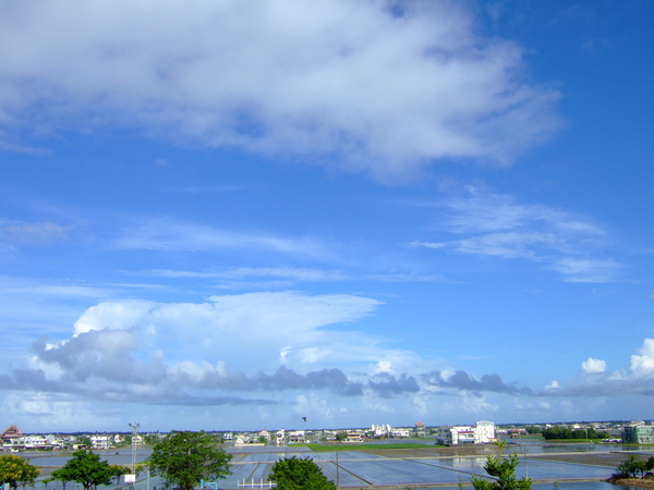DSCF9345.JPG