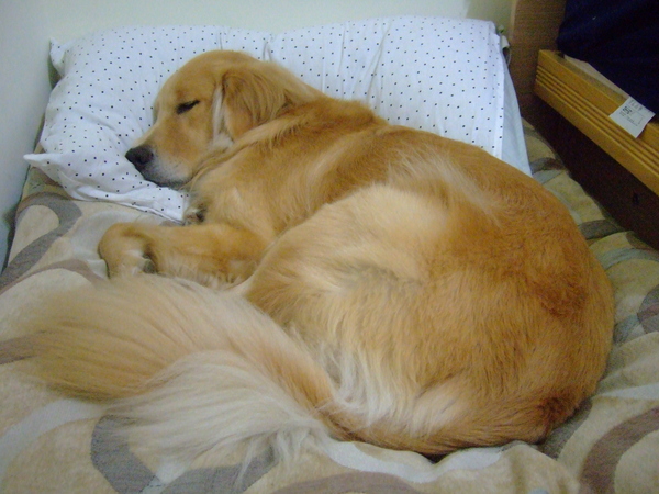 DSCF9740.JPG