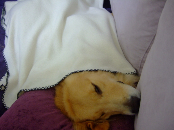 DSCF9760.JPG