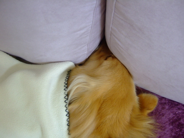 DSCF9768.JPG
