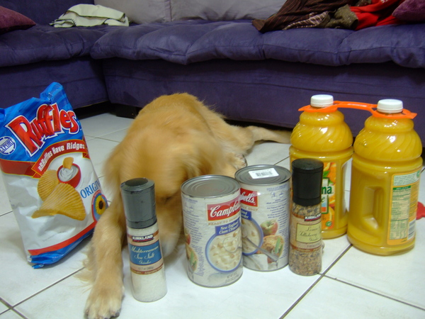 DSCF9777.JPG