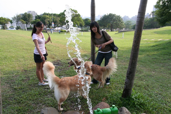 玩水哩