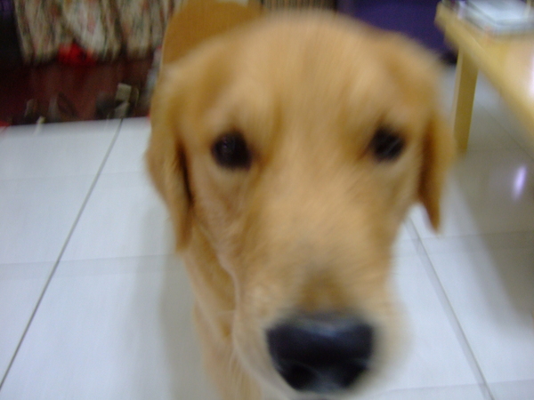 DSCF9950.JPG