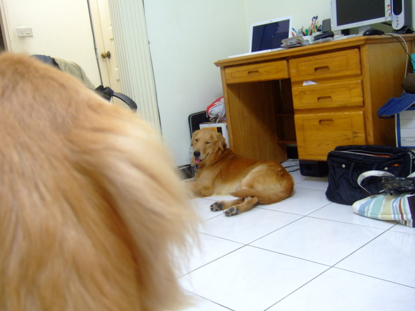 DSCF9966.JPG