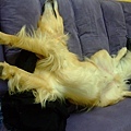 DSCF0043.JPG
