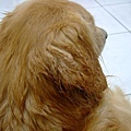 DSCF0062.JPG