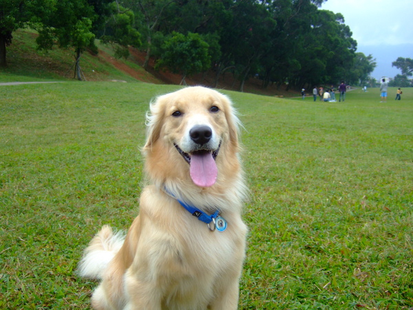 DSCF9905.JPG