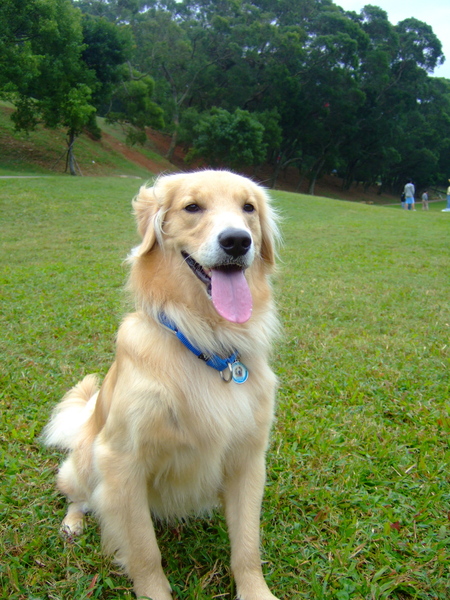 DSCF9906.JPG