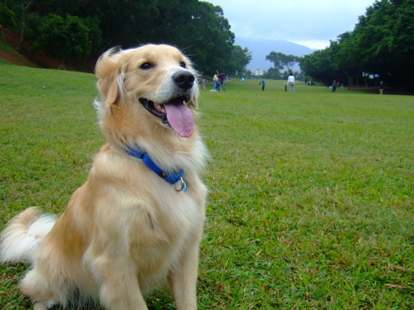 DSCF9907.JPG