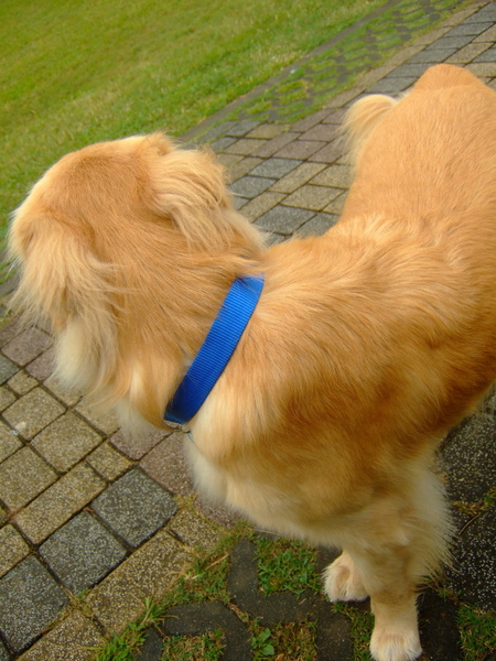 DSCF9912.JPG