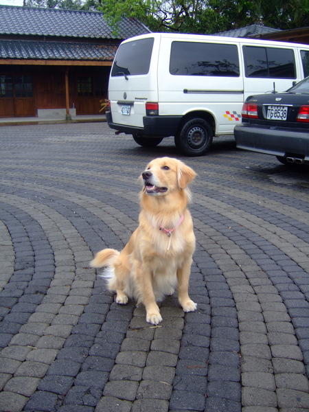 DSCF0506.JPG
